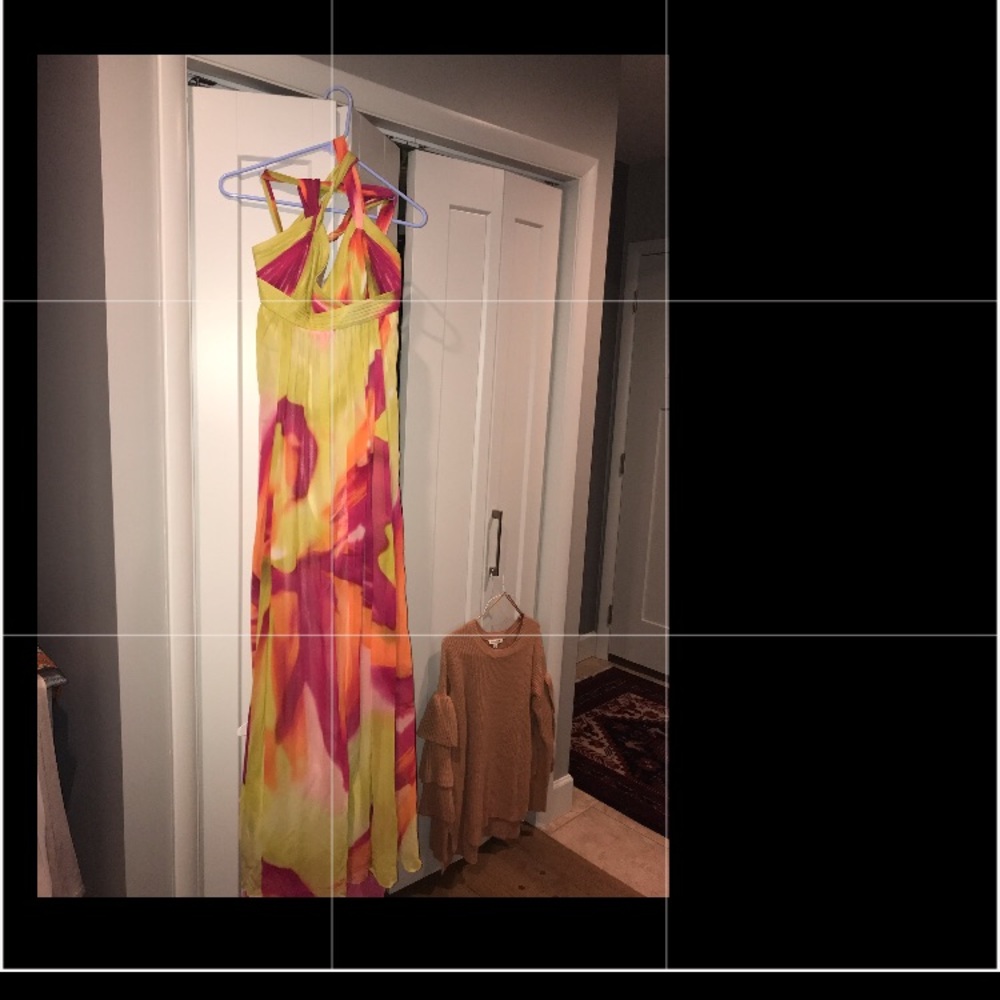 Bcbg Gown 6
